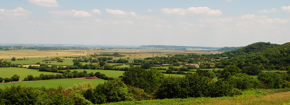 Somerset Levels